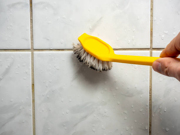 Best Bathroom Mold Remediation in Jefferson City, MO
