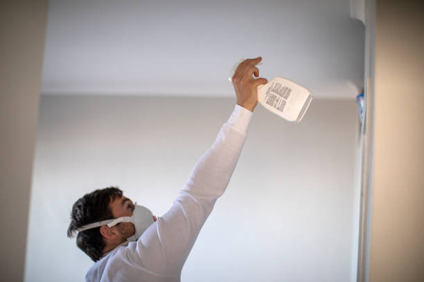 Best Emergency Mold Remediation in Jefferson City, MO